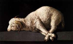 Lamb of God